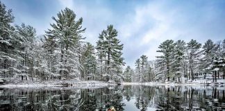 This photo of a snowy paddle on Kasshabog Lake by Mike Quigg was our top post on Instagram for November 2022. (Photo: Mike Quigg @_evidence_ / Instagram)