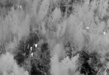 Four Peterborough police officers and police service dog Isaac close in on an elderly Peterborough man and his dogs (top left) who became lost while walking in a remote wooded area of Cavan. Police also used a remotely piloted aircraft system to help the group navigate safely out of the bush. (kawarthaNOW screenshot of Peterborough police video)