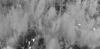 Four Peterborough police officers and police service dog Isaac close in on an elderly Peterborough man and his dogs (top left) who became lost while walking in a remote wooded area of Cavan. Police also used a remotely piloted aircraft system to help the group navigate safely out of the bush. (kawarthaNOW screenshot of Peterborough police video)