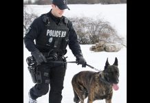 Peterborough police service dog Gryphon with his handler police constable Dillon Wentworth. (Photo: Peterborough Police Service)