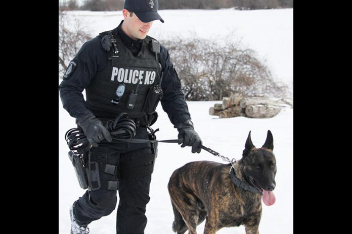 Peterborough police service dog Gryphon with his handler police constable Dillon Wentworth. (Photo: Peterborough Police Service)