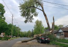 Between the "bomb cyclone" at the end of December and the May derecho wind storm that ripped through southern Ontario and Quebec, the climate crisis was one of the top stories of 2022. Pictured is a car on Lock Street in the south end of Peterborough crushed by falling tree branches during the derecho on May 21, 2022. (Photo: Jeannine Taylor / kawarthaNOW)