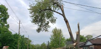 Between the "bomb cyclone" at the end of December and the May derecho wind storm that ripped through southern Ontario and Quebec, the climate crisis was one of the top stories of 2022. Pictured is a car on Lock Street in the south end of Peterborough crushed by falling tree branches during the derecho on May 21, 2022. (Photo: Jeannine Taylor / kawarthaNOW)