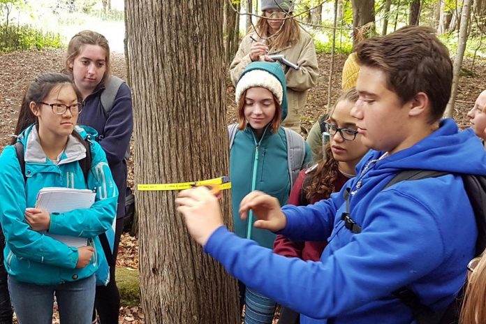 Youth Leadership in Sustainability is an innovative experiential-learning program based in Peterborough that prepares grade 11 and 12 students for leadership roles in sustainability initiatives at the local and global levels.  The one-semester program launched in September 2018 and includes hands-on learning experiences outside and within the traditional classroom, rich in teachings from Indigenous and global perspectives. (Photo courtesy of Youth Leadership in Sustainability)