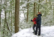 The Hike Haliburton Festival - Winter Edition takes place throughout Haliburton Highlands on February 4 and 5, 2023. Registration is now open for free guided winter hikes, and paid adventure experiences with local outfitters can also be booked. (Photo courtesy of Hike Haliburton)