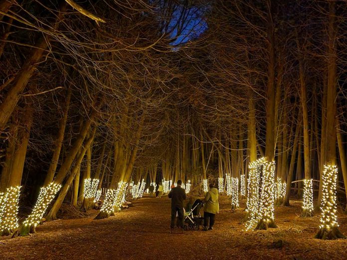 One of the Love Month events includes "Love Bright", a forest trail at Ken Reid Conservation Area near Lindsay. Similar to December's Illuminated Forest (pictured), Kawartha Conservation will be lighting a trail with twinkling lights as well as decorations. The Love Bright trail will be open from 5 p.m. to 9 p.m. for the entire month of February, with $1 from every $4 paid parking admission donated to Kawartha Lakes Food Source. (Photo courtesy of Kawartha Conservation)