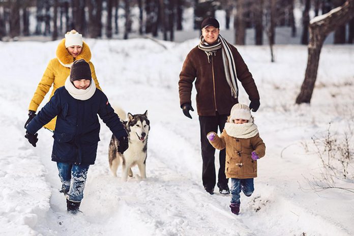 A family of four with a dog walking in winter snow. (Stock photo)