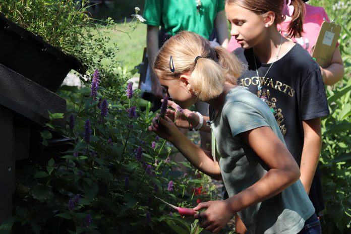 Not only does the climate crisis magnify inequalities people may face, but it also exacerbates the emotional anxiety that is disproportionately experienced by youth. Camps are a powerful tool in addressing this anxiety by engaging in thoughtful dialogue and supporting youth agency in creating change. (Photo: Jessica Todd / GreenUP)