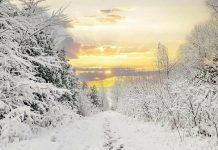 This photo of the Trans Canada Trail in Peterborough by Lester Balajadia was our top post on Instagram for January 2023. (Photo: Lester Balajadia @lester.balajadia.photography / Instagram)