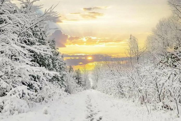 This photo of the Trans Canada Trail in Peterborough by Lester Balajadia was our top post on Instagram for January 2023. (Photo: Lester Balajadia @lester.balajadia.photography / Instagram)