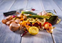 The City of Peterborough will implement a weekly 'green bin' service to collect household organic waste effective October 31, 2023. At the same time, residents will be required to put their garbage in clear garbage bags and garbage collection will move from weekly to every other week. Weekly recycling collection will continue. (Stock photo)