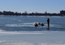 Four firefighters with Peterborough Fire Services immersed in 3°C water in Peterborough's Little Lake during annual water and ice rescue training on February 14, 2023. (Photo: Bruce Head / kawarthaNOW)