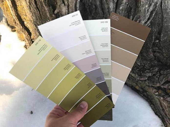 Matching colour swatches to colours found in nature is not only a great way to get ourselves and youth outside, it also reminds us to look closely at all the beauty that nature has to offer us. (Photo: Jessica Todd / GreenUP)