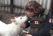 Peterborough native Chloë Black meets two dogs during a stint with Ukrainian Patriot in early 2023, when she helped deliver humanitarian aid packages to frontline soldiers and civilians in Ukraine. Her volunteer work in Ukraine followed a trip to Romainia in April 2022 when she volunteered with a group building a shelter for 800 animals displaced by the Russian invasion of Ukraine. (Photo courtesy of Chloë Black)
