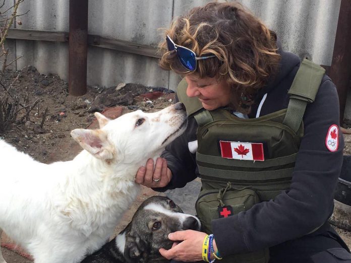 Peterborough native Chloë Black meets two dogs during a stint with Ukrainian Patriot in early 2023, when she helped deliver humanitarian aid packages to frontline soldiers and civilians in Ukraine. Her volunteer work in Ukraine followed a trip to Romainia in April 2022 when she volunteered with a group building a shelter for 800 animals displaced by the Russian invasion of Ukraine. (Photo courtesy of Chloë Black)