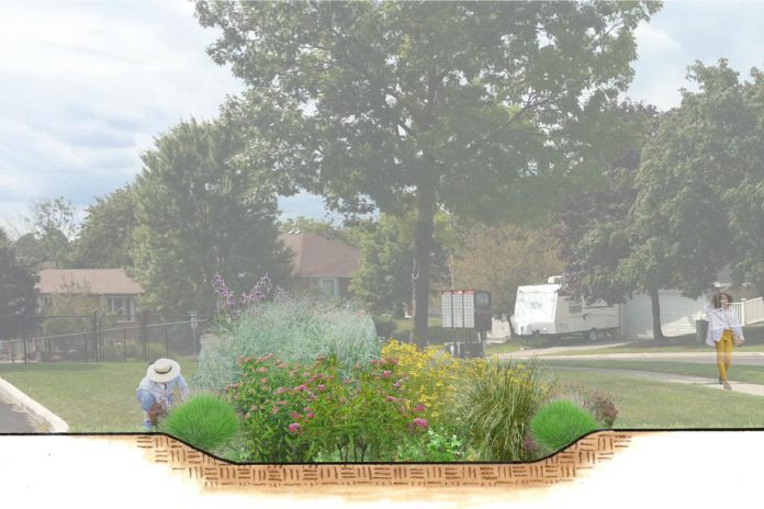 A digital rendering of a pollinator-friendly native species rain garden, one of two designed by GreenUP for use by anyone who wishes to install a rain garden in the Peterborough region. The bowl shape allows the garden to temporarily hold and filter stormwater. (Rendering: Hayley Goodchild / GreenUP)