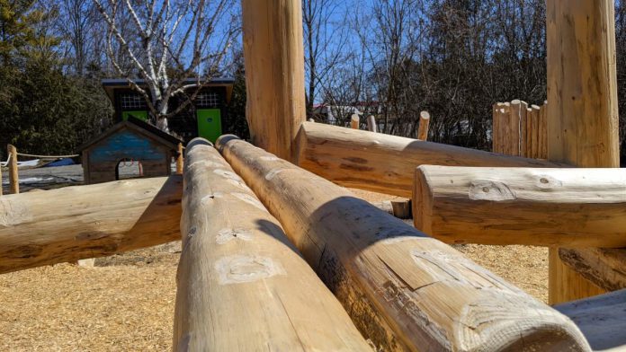 Constructed of locally sourced  white cedar logs, the naturalized playscape at Ecology Park is an environmentally responsible play area with low embodied carbon cost and no landfill waste at the end of its lifetime.  (Photo: Bruce Head / kawarthaNOW)