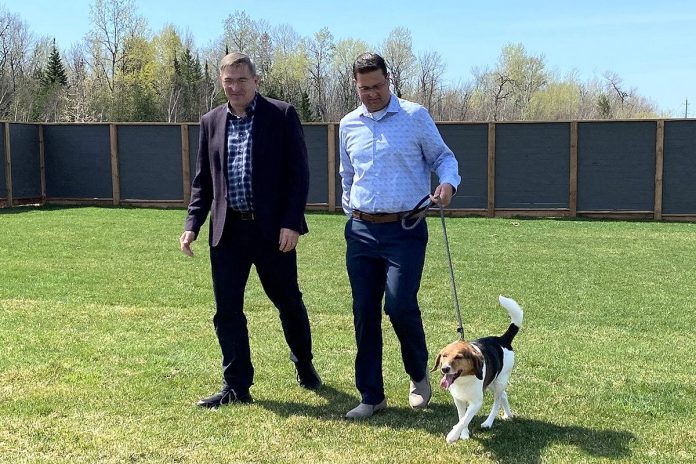 Peterborough-Kawartha MPP Dave Smith and Peterborough Humane Society executive director Shawn Morey take a dog for a walk on April 21, 2023 at the society's new Peterborough Animal Care Centre at 1999 Technology Drive, where Smith announced a provincial grant of up to $1,560,500 for the centre. (Photo: Peterborough Humane Society)