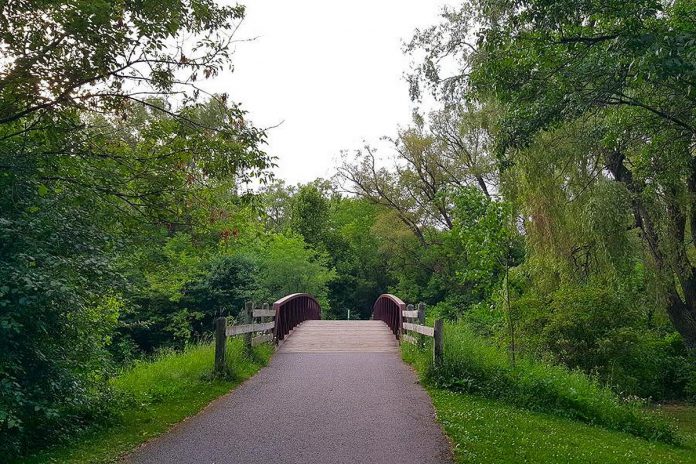 The Trans Canada Trail entrance to Peterborough's Ecology Park from the Beavermead Park parking lot. (Photo: Jeannine Taylor / kawarthaNOW)