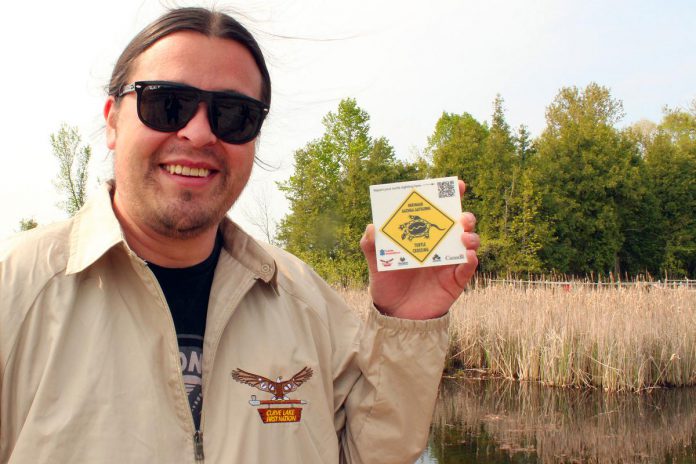 At the Curve Lake First Nation Mshkiigag Wetlands, Jack Hoggarth from Curve Lake Cultural Centre holds up a Mikinaak (turtle) crossing trail sign that connects trail visitors to the Turtle Guardians sightings reporting page via a QR code. (Photo courtesy of Otonabee Conservation)