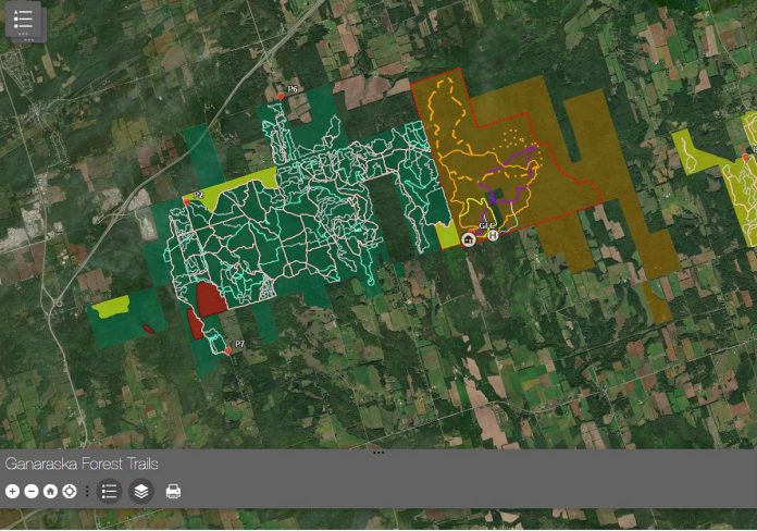 To help trail users navigate the Ganaraska Forest, the Ganaraska Region Conservation Authority (GRCA) has developed an interactive online mapping system where users can find their location in the forest by using a locator tool. The online map also displays any trail restrictions or closures in real time. (kawarthaNOW screenshot)