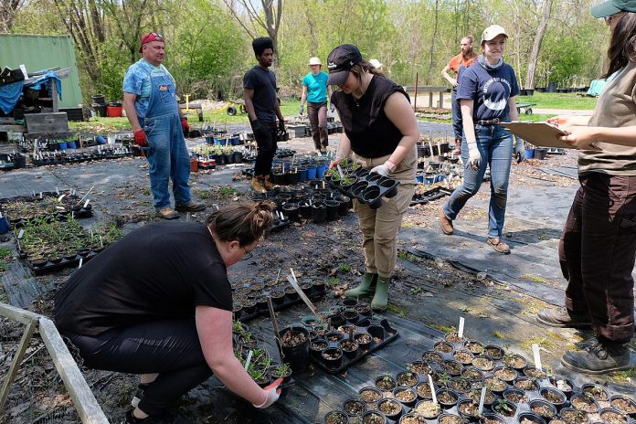 Teacher candidates from Trent University's Learning Garden program experience workshops and garden-based activities at Peterborough's Ecology Park to personally develop a connection to a learning garden, under the guidance of Vern Bastable (rear left), Director of Ecology Park and Landscape Programs. (Photo: Lili Paradi / GreenUP)