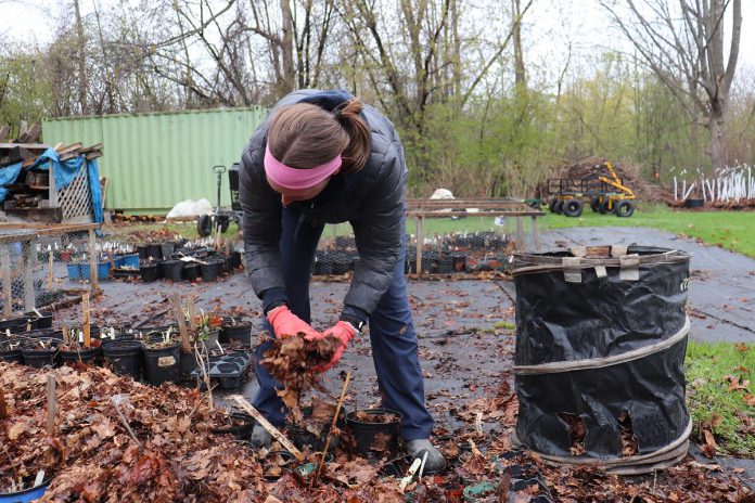 GreenUP communications assistant Jessica Todd is a recent graduate of Trent University's Environmental and Resource Science Program and spent more than two years working with, volunteering for, and engaging with Ecology Park programming as a young person.  (Photo: Lili Paradi / GreenUP