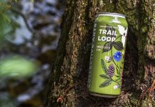 A portion of proceeds from the sale of Collective Arts Brewing's limited-edition Trail Loop honey lager, featuring artwork by Toronto artist Gosia Komorski, will support reforestation work at Balsam Lake Provincial Park in Kawartha Lakes. (Photo courtesy of Collective Arts Brewing)
