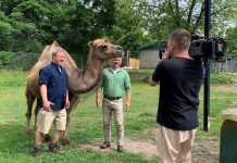 Martin and Chris Kratt were at Peterborough's Riverview Park and Zoo on June 13, 2023 to film an episode of their show "Wild Kratts", now in its seventh season, that will feature the zoo's Bactrian camels. (Photo: Riverview Park and Zoo / Facebook)