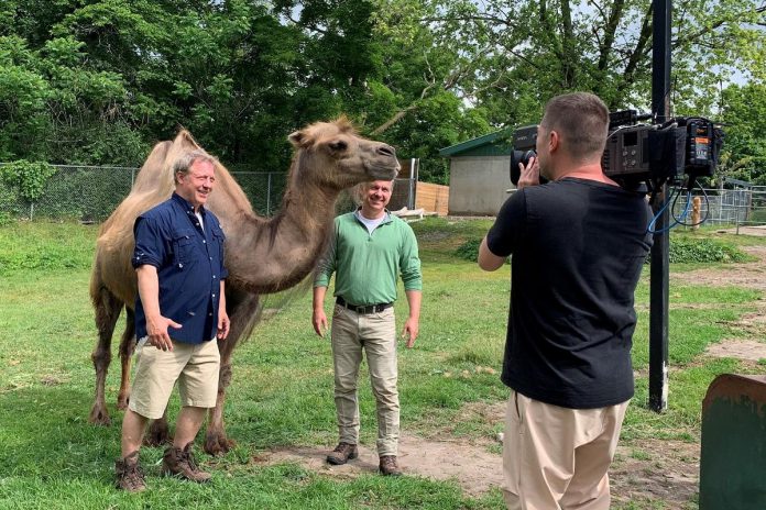 Martin and Chris Kratt were at Peterborough's Riverview Park and Zoo on June 13, 2023 to film an episode of their show "Wild Kratts", now in its seventh season, that will feature the zoo's Bactrian camels. (Photo: Riverview Park and Zoo / Facebook)