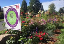 One of the many public and private pollinator gardens in the City of Peterborough, which will be proclaiming June 19 to 25 as Pollinator Week in the city and reaffirming the city's status as a Bee City to kick off a two-hour bike tour of the city's pollinator gardens hosted by Peterborough Pollinators. (Photo: Peterborough Pollinators)