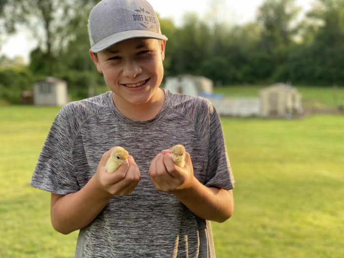 While Ashley Foreman and Chris Duff work their full-time jobs, their 13-year-old son William (pictured) and his eight-year-old brother James do most of the farm tasks, like feeding, watering, and cleaning the animals. Four-year-old Evelyn and three-year-old Charles help out as they can by collecting eggs, picking fruit, and interacting with the animals. (Photo: Ashley Foreman)