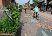 As part of Renaissance on Hunter in downtown Peterborough, GreenUP has collaborated with the City of Peterborough's public art program to design and install 'poetry gardens' featuring prairie grasses and native flowering plants that form a backdrop for road murals and poetry by local artists. (Photo: Lili Paradi / GreenUP)