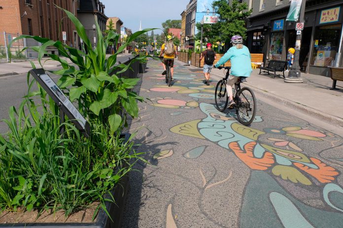 As part of Renaissance on Hunter in downtown Peterborough, GreenUP has collaborated with the City of Peterborough's public art program to design and install 'poetry gardens' featuring prairie grasses and native flowering plants that form a backdrop for road murals and poetry by local artists. (Photo: Lili Paradi / GreenUP)