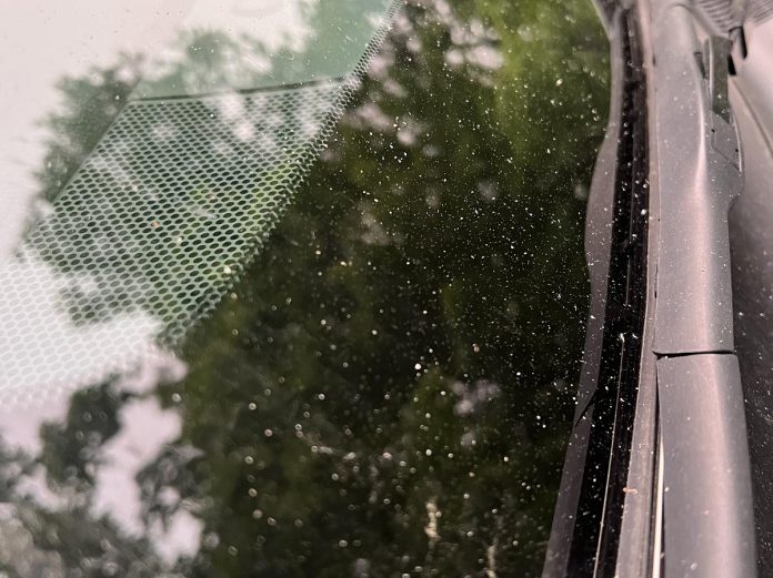 Ash from this summer's wildfire smoke on the windshield of a car in Peterborough. Poor air quality resulting from wildfire smoke is a public health risk in Canada because of its impact on physical health, mental health, and well-being. (Photo: Eileen Kimmett / GreenUP)