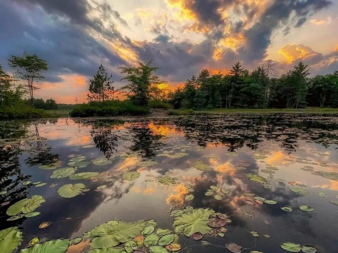 This photo of a Sunday sunset on Kasshabog Lake by Mike Quigg was our top Instagram post for June 2023. (Photo: Mike Quigg @_evidence_ / Instagram)