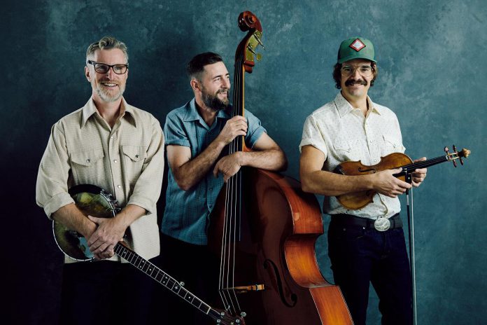 Toronto bluegrass trio The Lonesome Ace Stringband (Chris Coole on banjo, Max Malone on bass, John Showman on fiddle) perform Wednesday night at the Black Horse Pub in downtown Peterborough. (Photo: Jen Squires)