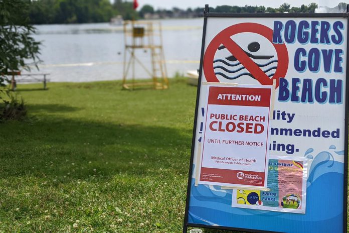 Peterborough Public Health closed beaches at Rogers Cove and Beavermead Park in Peterborough on July 14, 2023 due to possibly harmful blue-green algae blooms. (Photo: Bruce Head / kawarthaNOW)