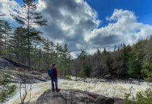 Unbeknownst to many visitors and locals alike, about 10 per cent of Algonquin Provincial Park is situated within the Haliburton Highlands and accessible from the Southern Gate, which is much less busy and crowded than the bustling East and West Gates but still gives visitors access to the rugged beauty of the park, including the popular High Falls. (Photo courtesy of Haliburton County Tourism)