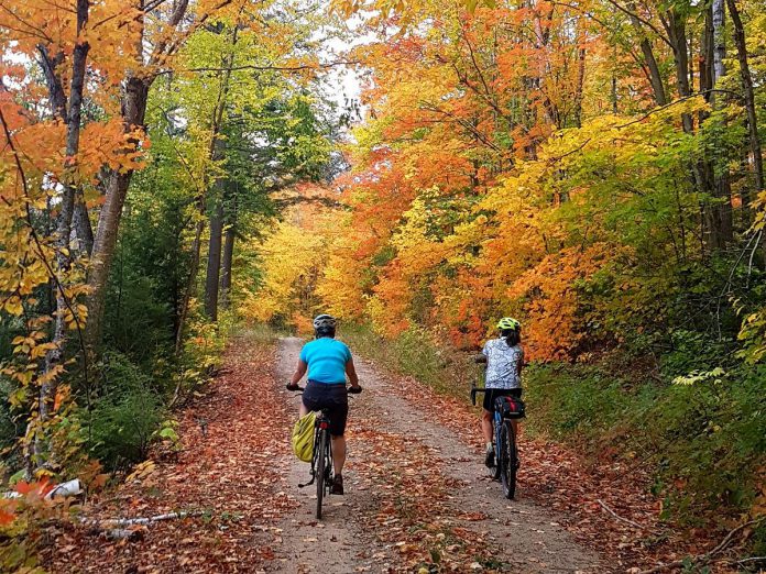 The Byers Lake Mountain Bike Trail at the South Gate in Algonquin Provincial Park gives visitors the opportunity to explore the park on bike or on foot, with a 13-kilometre out-and-back trail of moderate difficulty. A 150-metre side trail also leads to Gut Rapids, a narrow scenic canyon on the York River.  (Photo courtesy of Haliburton County Tourism)