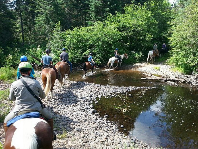 The South Gate offers the only place in Algonquin Park where visitors can enjoy horseback riding. South Algonquin Equestrian Trails offers guided trail rides and a campground where visitors can bring their own horses. (Photo courtesy of Haliburton County Tourism)