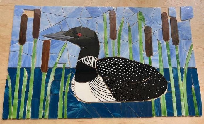 New to the studio tour this year is glass mosaic artist Joeann Pearson who, after decades of visiting the family cottage on Chandos, now resides full time on a small rural homestead in Apsley. Pictured is one of two of her stained glass loon mosaics in progress for sale at the Apsley Autumn Studio Tour. You can find her in Studio K along with pottery artist Cathy Pennaertz.   (Photo courtesy of Joeann Pearson)