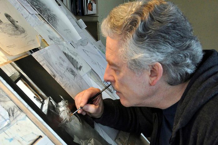 Internationally renowned Buckhorn-based wildlife artist Michael Dumas in studio working on his 2017 oil painting "Looking Out" featuring an eastern phoebe in a flour mill. Dumas is one of 10 artists who will be featured in the Special Exhibit "Home & Away," an exhibit that focuses on the important role of the nature artist in fostering a concern for and understanding of the natural world, especially in an increasingly urban and technological society that often disconnects people from nature. (Photo courtesy of Michael Dumas)