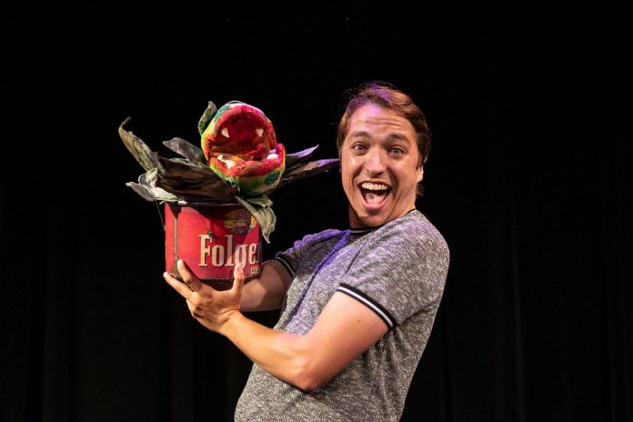 Puppeteer Joel Cumber (who also is part of the ensemble cast) holds one of the four puppets used to bring flesh-eating plant Audrey II to life in the Capitol Theatre's production of "Little Shop of Horrors" running for 27 performances in Port Hope from August 11 to September 3, 2023. (Photo: Sam Moffatt)