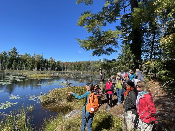 The Hike Haliburton Festival in Haliburton Highlands is also a storytelling festival, with guided hikes led by enthusiastic volunteers who are eager to share their knowledge of the region along with their expertise, making each hike an educational experience. (Photo courtesy of Hike Haliburton)