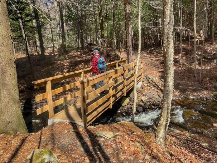 While some of the hikes included in the Hike Haliburton Festival, running from September 21 to 24 in the the Haliburton Highlands, are physically challenging, others are more accessible and family friendly. (Photo courtesy of Hike Haliburton)