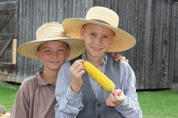 There will be plenty of fire-cooked corn smothered in butter for the entire family to enjoy during the Corn Roast event at Lang Pioneer Village Museum in Keene on August 27, 2023. Find out the many ways 19th-century settlers used corn, watch a variety of harvest-related and historic demonstrations, enter a corn-on-the-cob eating contest, and more. (Photo courtesy of Lang Pioneer Village Museum)