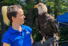 Kristin Morgan, along with her husband Matthew, owns and operates The Eyrie in North Kawartha, a birds of prey facility that aims to inspire conservation through meaningful education about raptors, including their biology, physiology, behaviours, and ecosystems and habitats, as well as the relationship between raptors and humans. (Photo courtesy of The Eyrie)