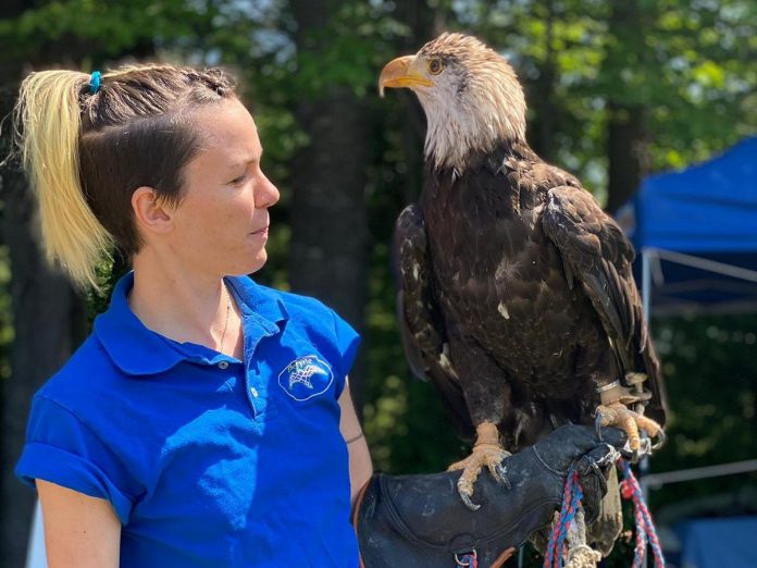 Kristin Morgan, along with her husband Matthew, owns and operates The Eyrie in North Kawartha, a birds of prey facility that aims to inspire conservation through meaningful education about raptors, including their biology, physiology, behaviours, and ecosystems and habitats, as well as the relationship between raptors and humans. (Photo courtesy of The Eyrie)