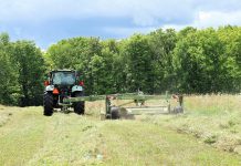 James Harley, co-owner of Harley Farms in Keene, cuts hay. While the agriculture sector is highly vulnerable to the impacts of climate change, it also produces 10 per cent of Canada's greenhouse gas emissions, not including the use of fossil fuels. The Net Zero Farms pilot project will subsidize a cohort of local agriculture businesses to join Green Economy Peterborough, where they will be supported to measure their footprint, learn from one another, and expand our regional understanding of local opportunities for climate action. (Photo: Veronica Price Jones / Harley Farms)